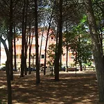 Valentino Pinarella